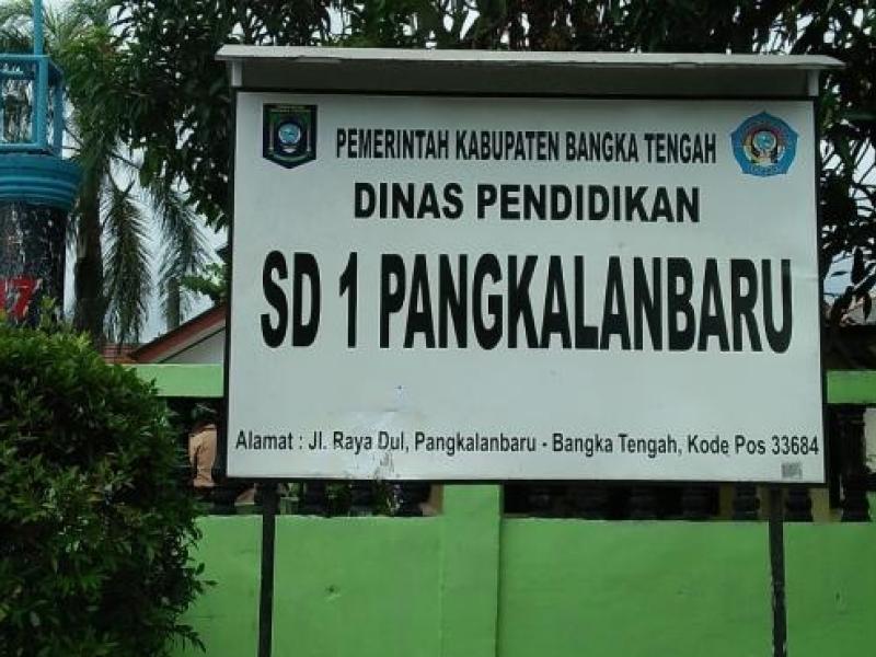 THE OPERATION OF MOBILE LIBRARY AT STATE ELEMENTARY SCHOOL  1 PANGKALAN BARU, DUL VILLAGE, CENTRAL BANGKA REGENCY