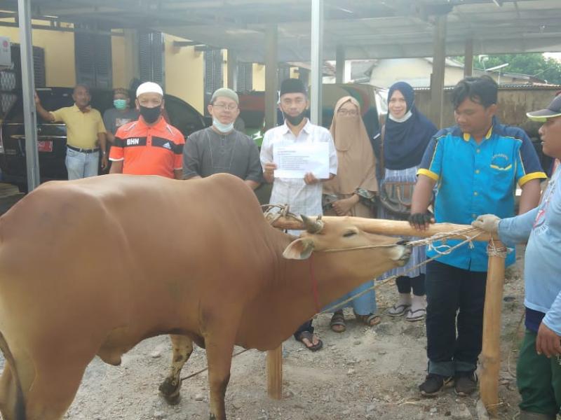Dinas Kearsipan dan Perpustakaan Babel Berkurban 1 Sapi
