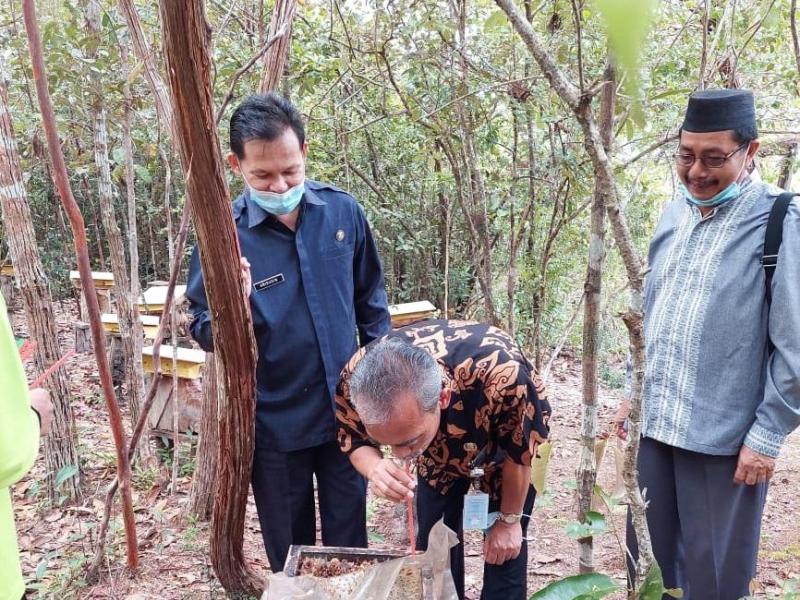 Kadis DKPUS Cicipi Madu Kelulut Binaan Perpusdes Cendil
