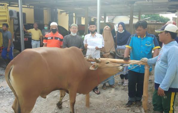 Kepala DKPUS Babel Dr Asyraf Suryadin foto bersama sesaat sebelum pemotongan Sapi Kurban.