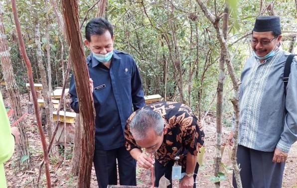 Kepala DKPUS Babel Asyraf Suryadin mencicipi madu kelulut binaan Perpudes Cendil, Kelapa Kampit, Beltim. Kepala DKPUS Babel Asyraf Suryadin mencicipi madu kelulut binaan Perpudes Cendil, Kelapa Kampit, Beltim.