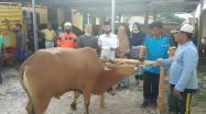 Kepala DKPUS Babel Dr Asyraf Suryadin foto bersama sesaat sebelum pemotongan Sapi Kurban.